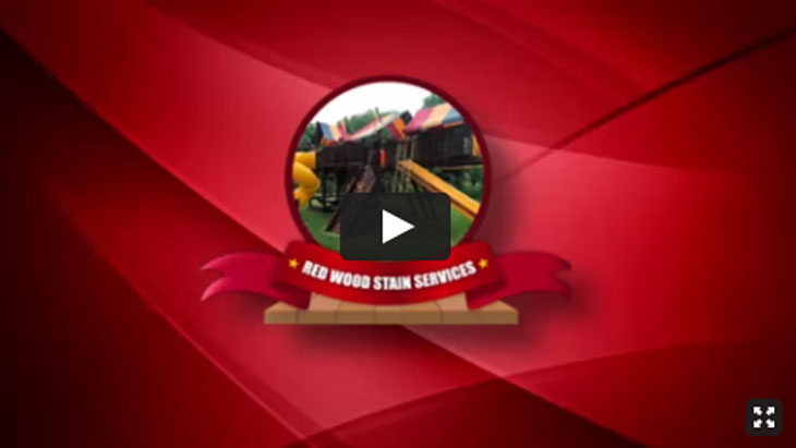 video1