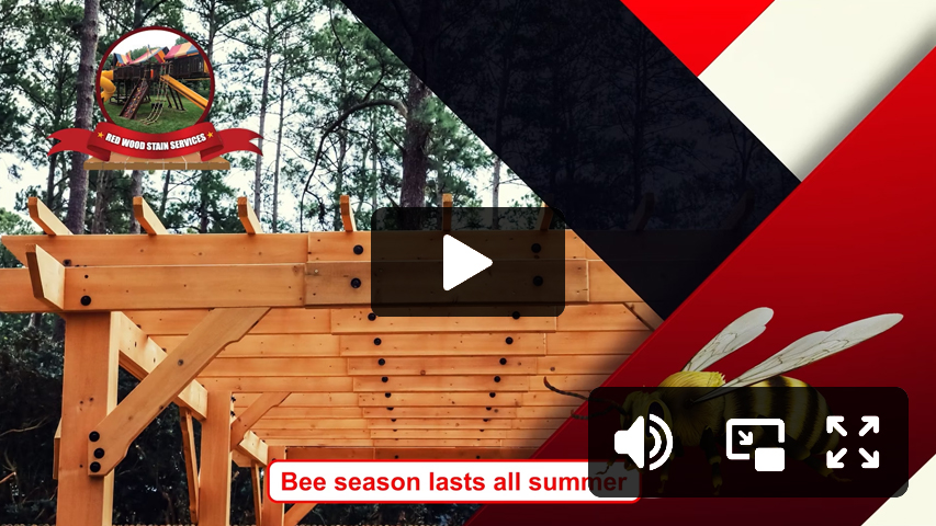 video6